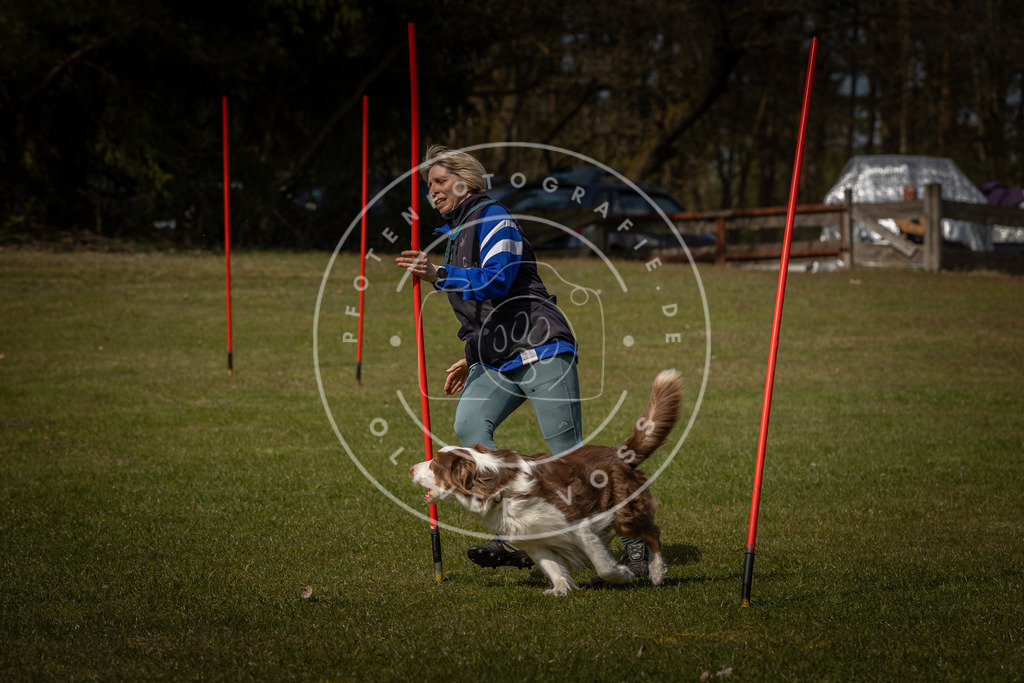 Pfotenfotografie_DV3A4174 | Hundefotografie, Tierfotograf, Pfotenfotografie, Fotoshooting Hund, Hunde Portrait, Hundesport, Hundeportraits, Heideshooting, Hunde, Sportfotograf, Hundefotograf, Turnierhundsport, THS,  - Realisiert mit Pictrs.com