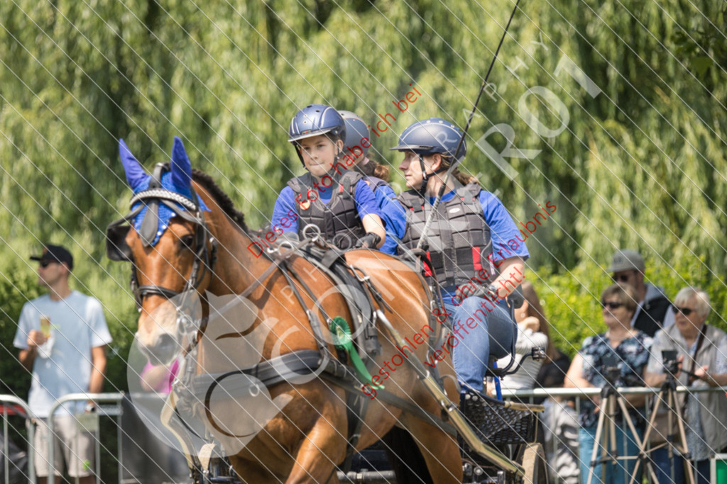 IMG_9310 | Sport-, Event- und Tierfotos in Profiqualität. Einfach auswählen, bestellen und herunterladen. Dein Moment – perfekt festgehalten.