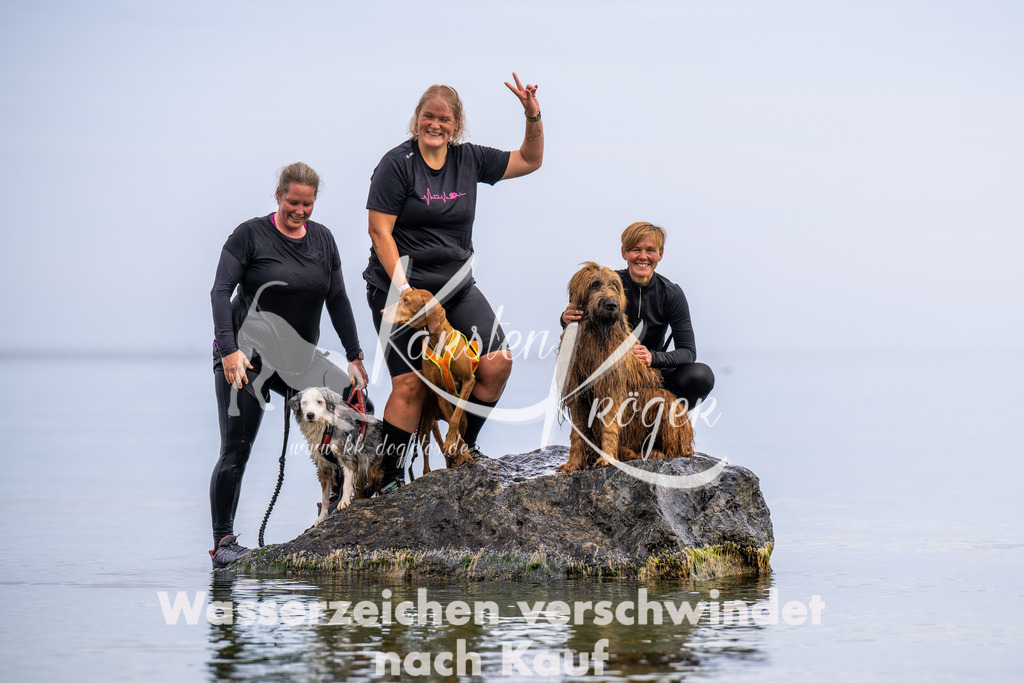 1227_ZZ91691 | kk-dogfotos