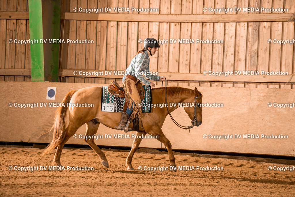 BA400231 | dv-media-shop - Realisiert mit Pictrs.com