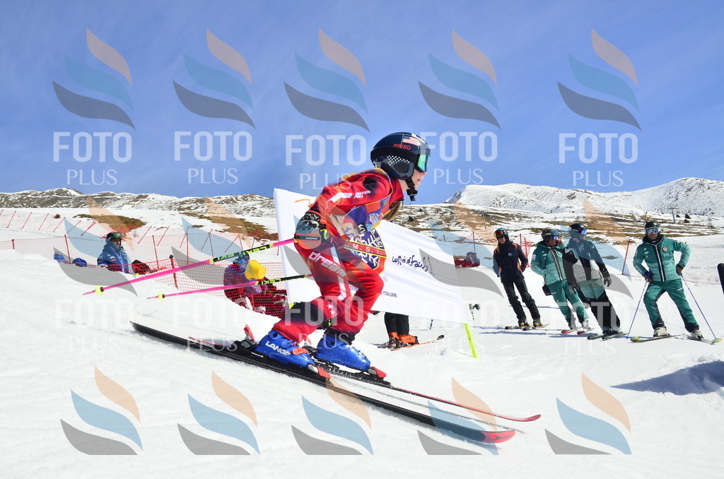 _ELE0594 | holidayphoto