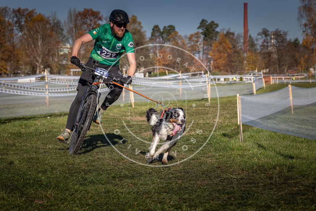 CaniXpix_0L8A4723 | Hundefotografie, Tierfotograf, Pfotenfotografie, Fotoshooting Hund, Hunde Portrait, Hundesport, Hundeportraits, Heideshooting, Hunde, Sportfotograf, Hundefotograf, Turnierhundsport, THS,  - Realisiert mit Pictrs.com