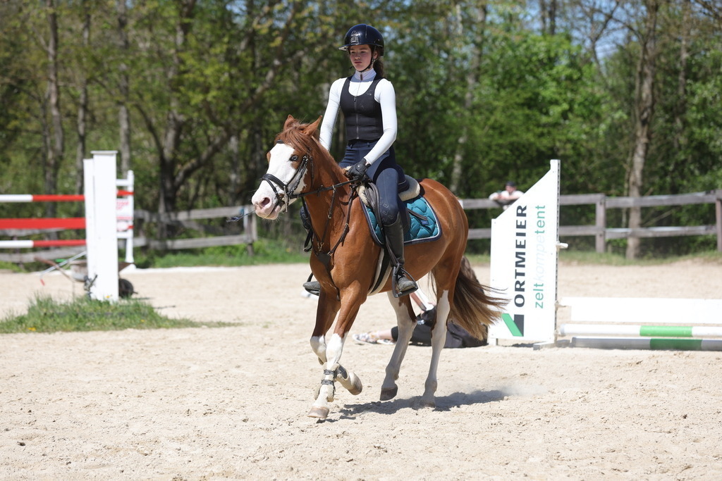 0P6A8816 | Willkommen bei Brunnmayr - Design & Fotografie – Ihrem Spezialisten für Reitturniere und Pferdeveranstaltungen in Oberösterreich, Salzburg und Bayern! Seit über 17 Jahren sind wir leidenschaftlich dabei.