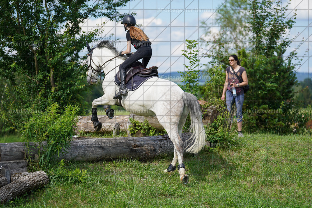 20240622-FAH08041 | Turnierfotografen Bayern, Reitsportbilder aus dem Geländekurs mit Felix Etzel auf dem Gut Waitzacker 2024