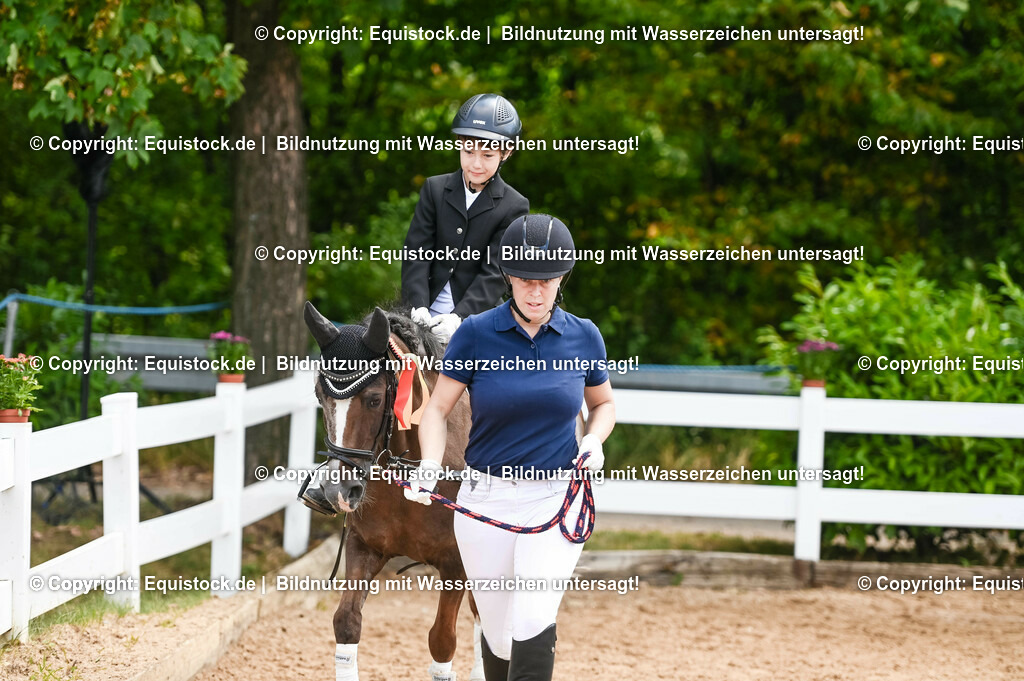 20230716_11_Führzügel-WB_0124 | equistock