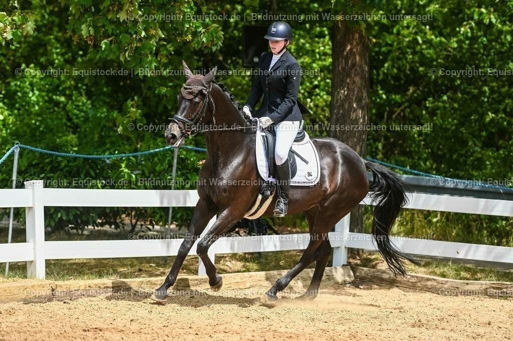 20230715_05_Dressurprüfung Kl.A++_0389 | equistock