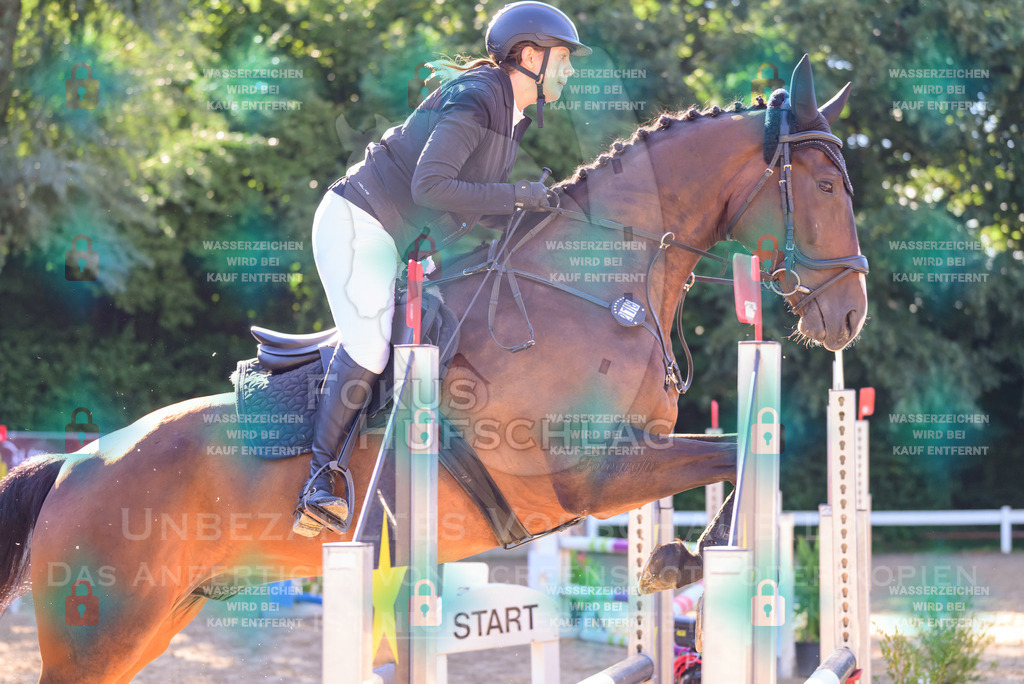 30082026-Giesenbach-Prfg16-0223 | Fokus Hufschlag Fotografie - Realisiert mit Pictrs.com