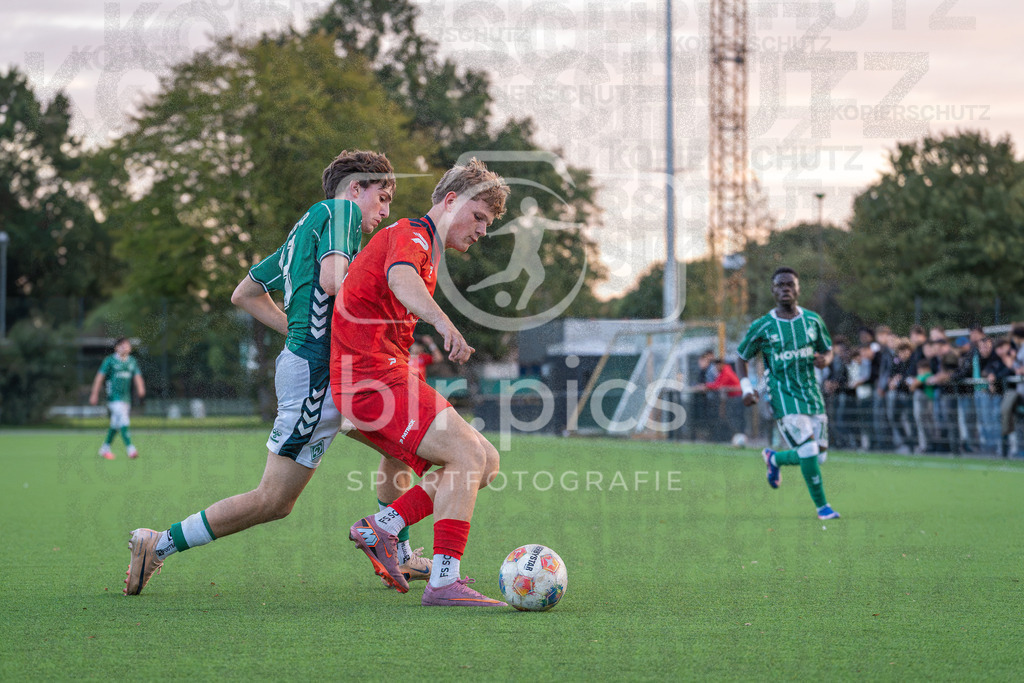 SV Werder Bremen II - Bremer SV | SV Werder Bremen II - Bremer SV