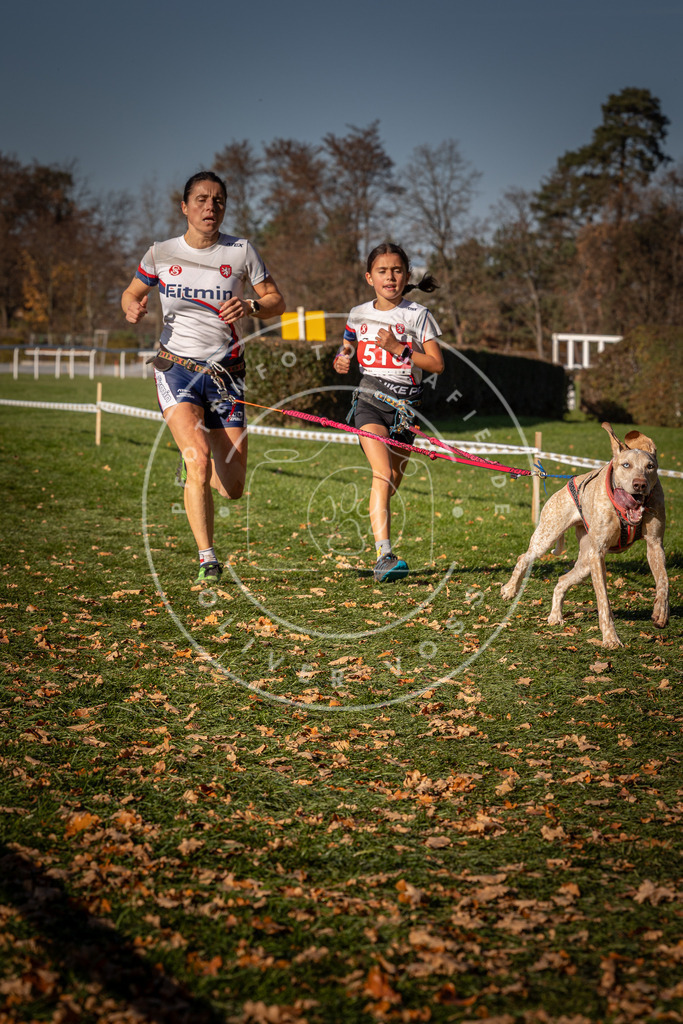 CaniXpix_0L8A6993 | Hundefotografie, Tierfotograf, Pfotenfotografie, Fotoshooting Hund, Hunde Portrait, Hundesport, Hundeportraits, Heideshooting, Hunde, Sportfotograf, Hundefotograf, Turnierhundsport, THS,  - Realisiert mit Pictrs.com