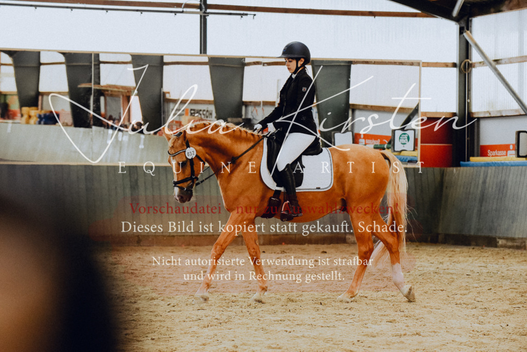 DSC_7212 | Pferde- und Turnierfotografie in Westsachsen. Pferdeportraits, Auftragszeichnungen und intuitive Kunst.