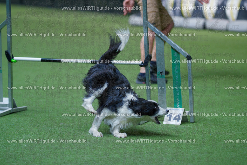 @allesWIRTHgut_Tierfotografie - www.allesWIRTHgut.de - 2604261508-7R504646 | Professionelle Tierfotografie in Mönchengladbach von Daniel Wirth (allesWIRTHgut). Liebevolle & natürliche Bilder von Hunden & Katzen für unvergessliche Erinnerungen.