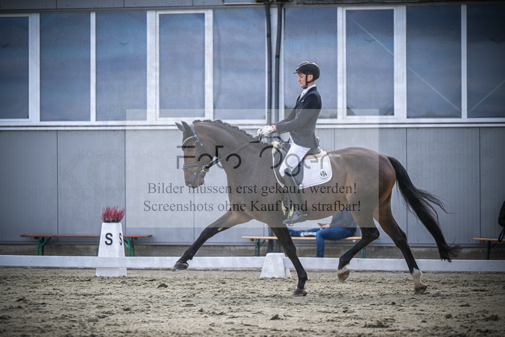 DOS_1300 | Entdecke hochwertige Reitturnierfotos von Foto Oger. Professionell, emotional und authentisch – jetzt Lieblingsmomente im Shop bestellen.Deutschlandweite Turnierfotografie. - Realisiert mit Pictrs.com