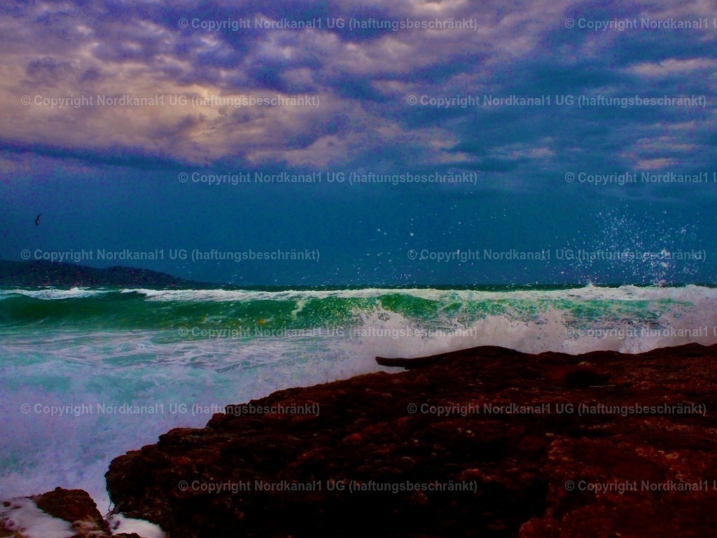 PA231961 | OLYMPUS DIGITAL CAMERA          - Realisiert mit Pictrs.com