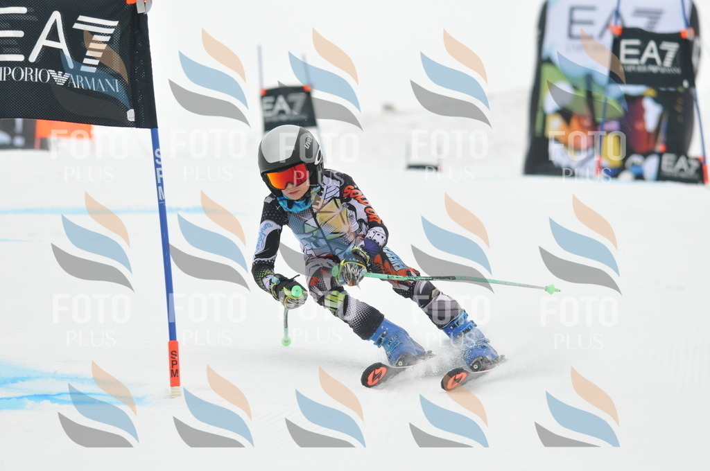 DSC_7319 | holidayphoto