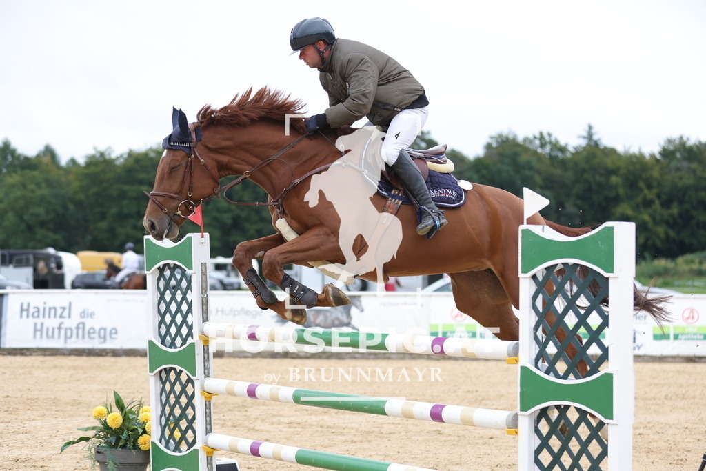 0P6A8180 | Willkommen bei Brunnmayr - Design & Fotografie – Ihrem Spezialisten für Reitturniere und Pferdeveranstaltungen in Oberösterreich, Salzburg und Bayern! Seit über 17 Jahren sind wir leidenschaftlich dabei.