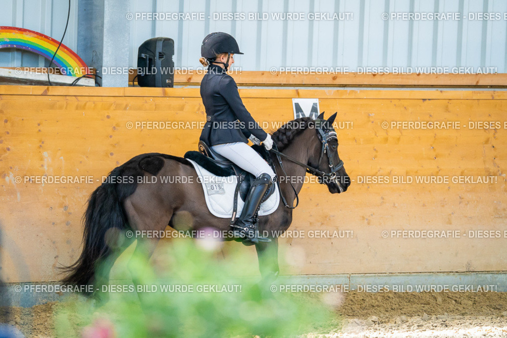 DSC06645 | Pferdegrafie