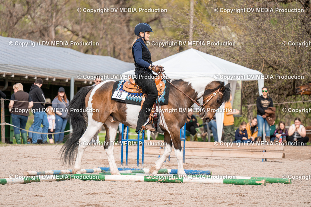 BAL02673 | dv-media-shop - Realisiert mit Pictrs.com