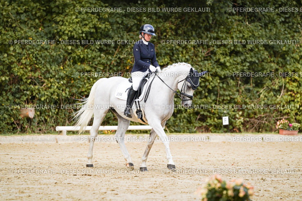 DSC02665 | Pferdegrafie