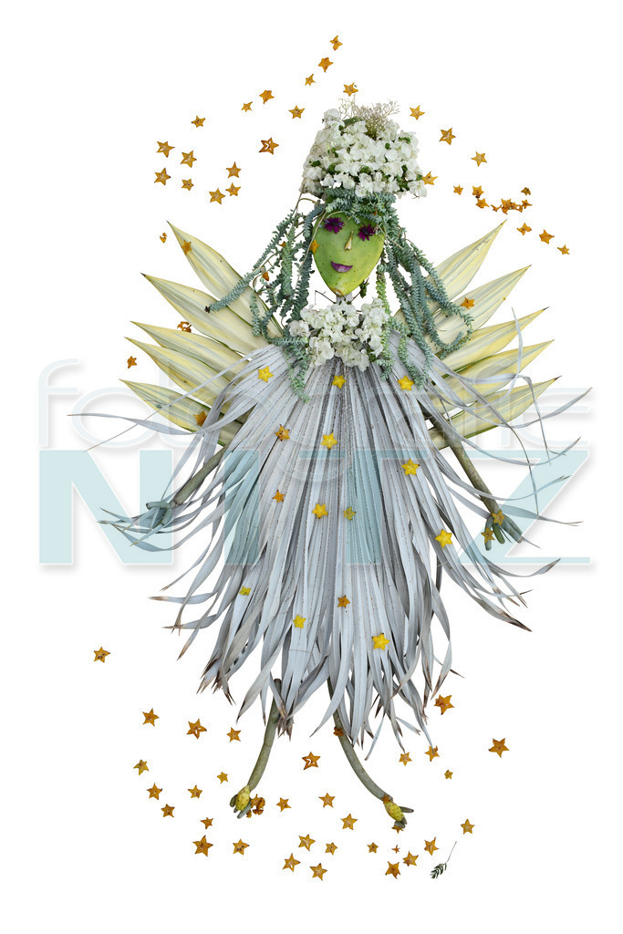 06 | Nitz Fotografie aus Montabaur bietet Ihnen hier die Möglichkeit Bilder auszusuchen und zu bestellen. 