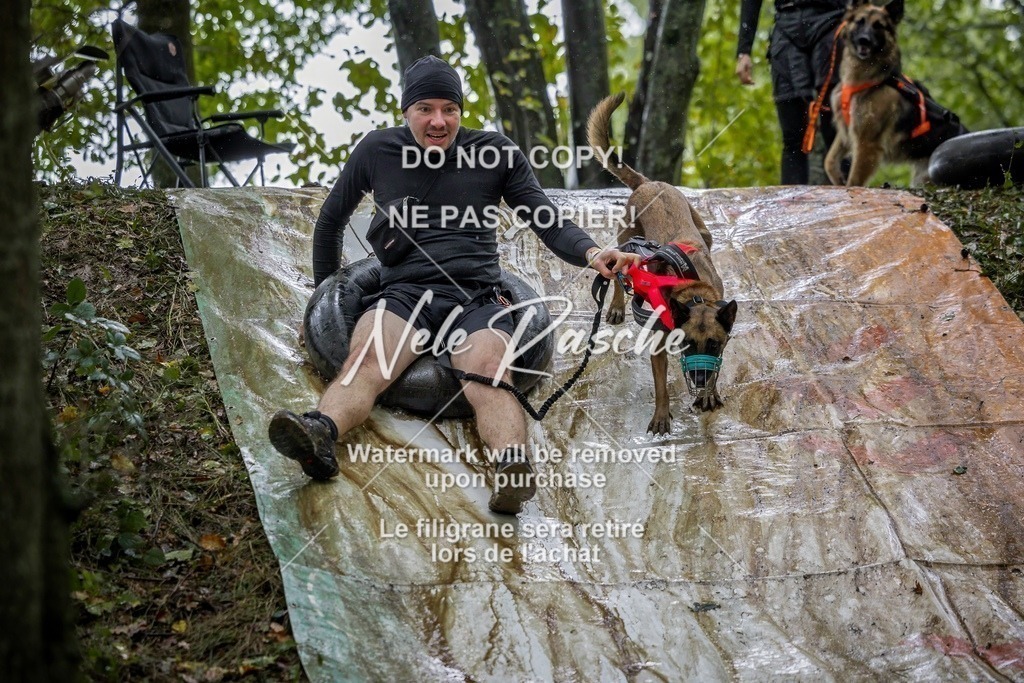 nelerasche_Hunsrück_Sa1300-1400_422-final | nelerasche