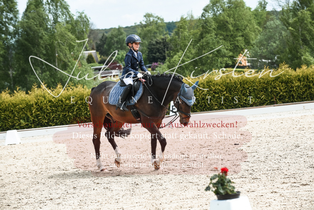 20230518_JK-Röhrsdorf-11-0228 | Pferde- und Turnierfotografie in Westsachsen. Pferdeportraits, Auftragszeichnungen und intuitive Kunst.