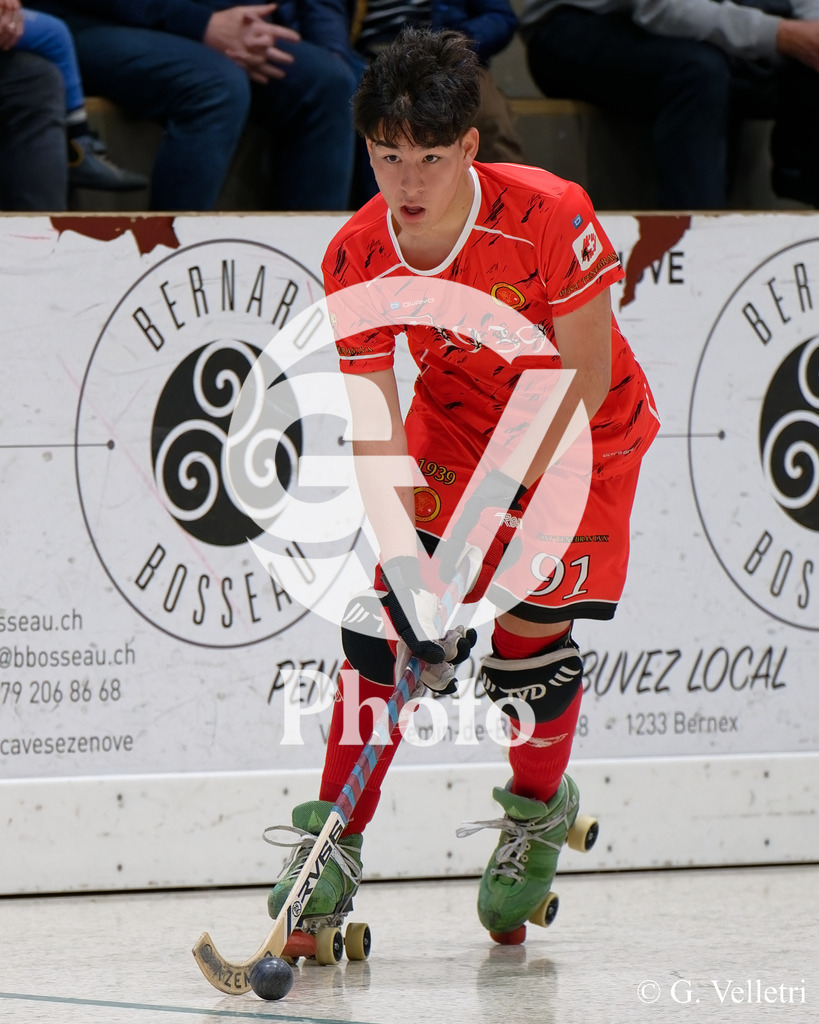 DSC_5406_M | Velletri Photo