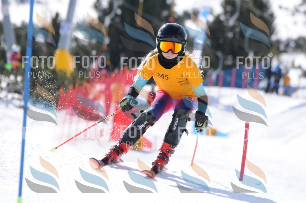 C8825 | holidayphoto