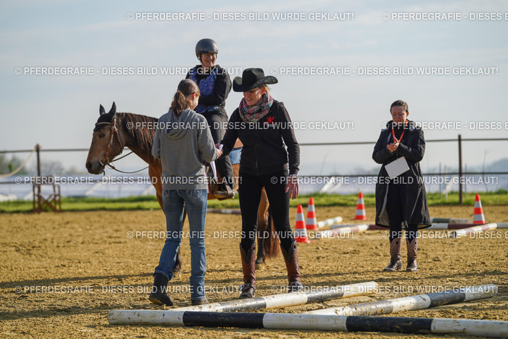 DSC00685 | Pferdegrafie