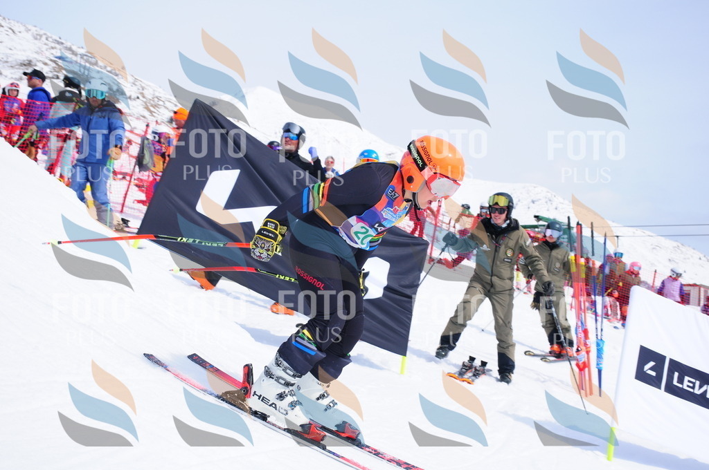 DSC_1864 | holidayphoto