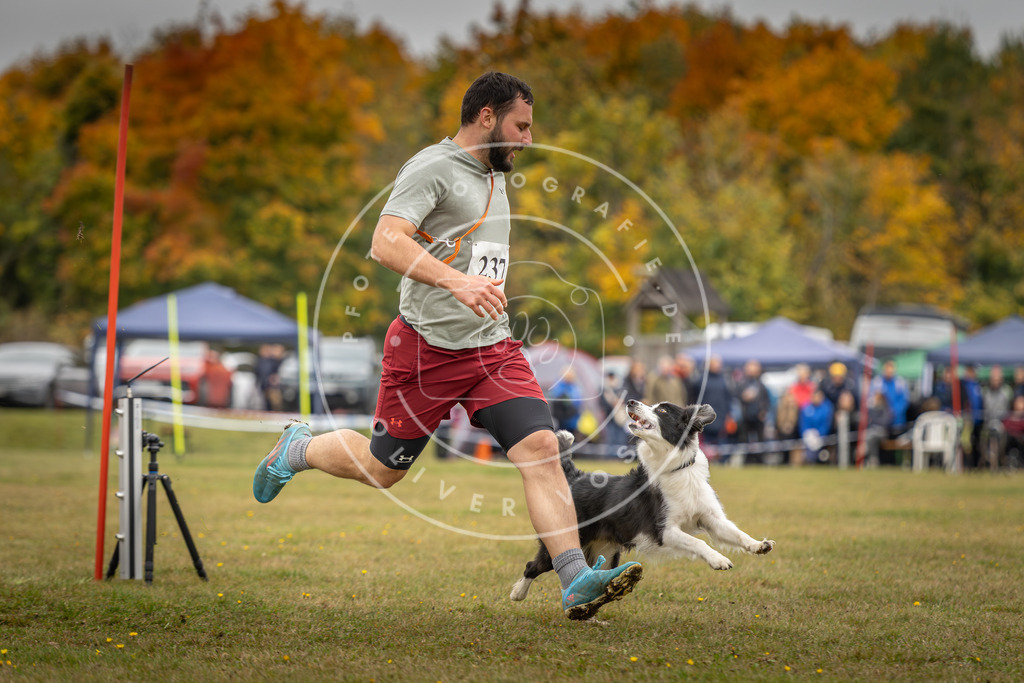 Pfotenfotografie_DV3A5312 | Hundefotografie, Tierfotograf, Pfotenfotografie, Fotoshooting Hund, Hunde Portrait, Hundesport, Hundeportraits, Heideshooting, Hunde, Sportfotograf, Hundefotograf, Turnierhundsport, THS,  - Realisiert mit Pictrs.com
