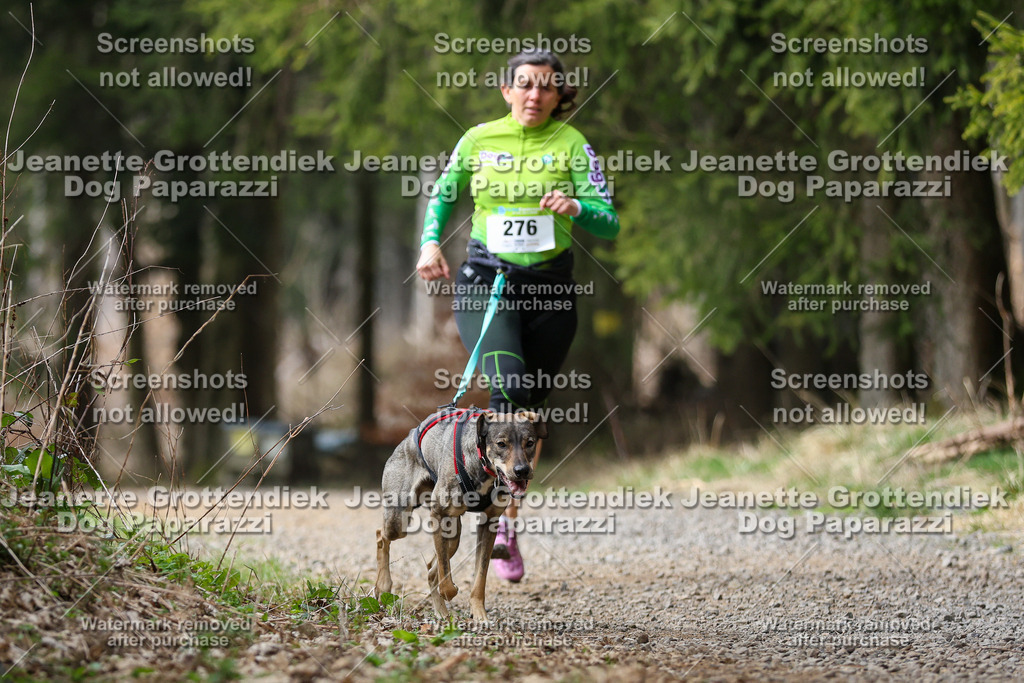 Dog Paparazzi - VCC26-409 | Dog Paparazzi Jeanette Grottendiek Fotografie & Videografie - Realisiert mit Pictrs.com
