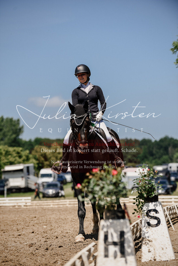 DSC_2087 | Pferde- und Turnierfotografie in Westsachsen. Pferdeportraits, Auftragszeichnungen und intuitive Kunst.