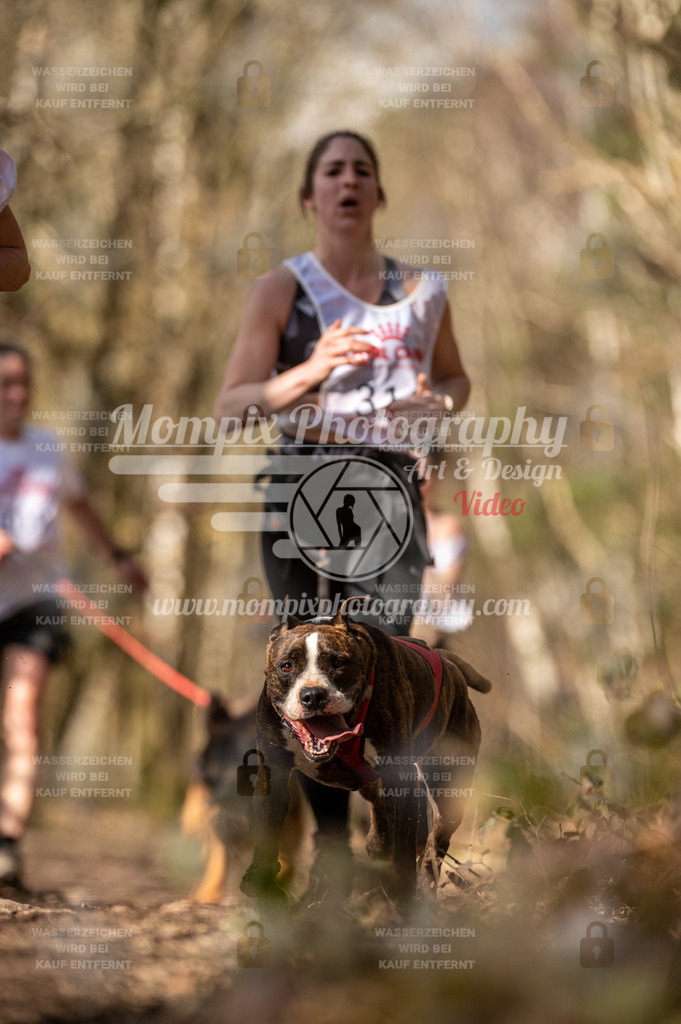 SPA_2023_SAM_CCK-154 | PayLife