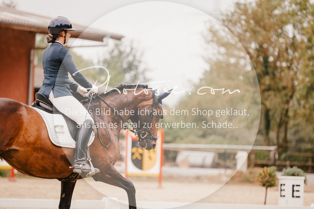 3I6A5942 | Stimmungsvolle Portraits und Reitsportfotografie im Ruhrgebiet und im Münsterland.

Pferdefotografie, Hundefotografie, Tierfotografie, Reportagen, Portraits von Tier und Mensch, Turnierfotografie in Bochum, Recklinghausen, Marl, Haltern am See, Dülmen.. - Realisiert mit Pictrs.com