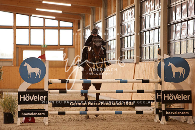 1J2A7292Fiby Sosna_ D_Amour du Foret Z_ Kn197_ Glantz_ Hohen Wieschendorf | Foto- und Videografie für alles rund ums Pferd. Hochwertige Bilder und Videos vom Spring- und Dressurreiten, Voltigieren & mehr. Jetzt aktuelle Veranstaltungen und Preise im Shop ansehen. - Realisiert mit Pictrs.com