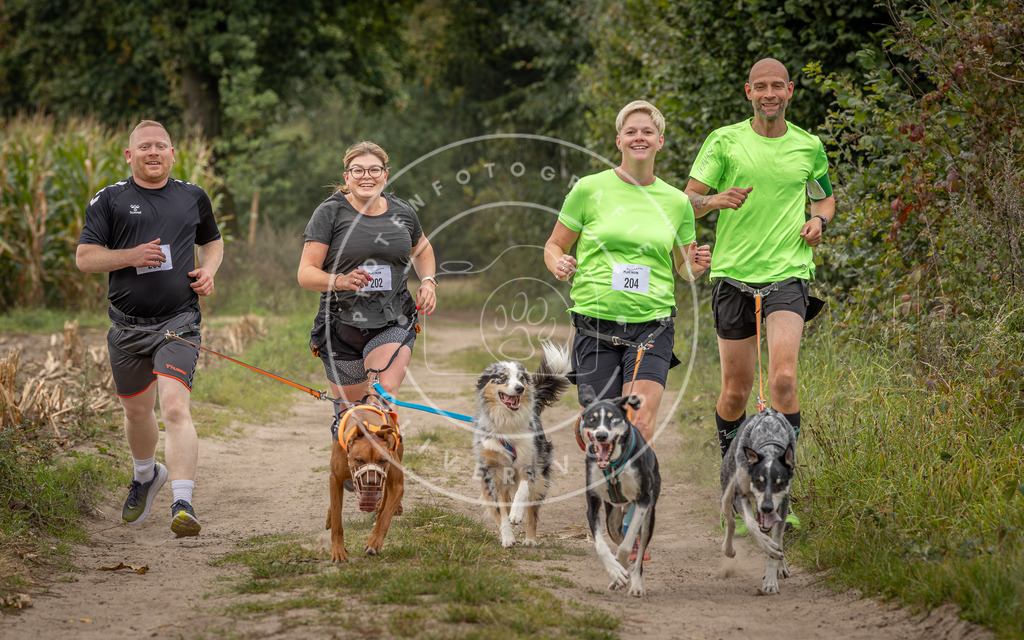 Pfotenfotografie_DV3A7444 | Hundefotografie, Tierfotograf, Pfotenfotografie, Fotoshooting Hund, Hunde Portrait, Hundesport, Hundeportraits, Heideshooting, Hunde, Sportfotograf, Hundefotograf, Turnierhundsport, THS,  - Realisiert mit Pictrs.com