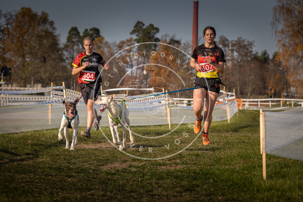 CaniXpix_0L8A0098 | Hundefotografie, Tierfotograf, Pfotenfotografie, Fotoshooting Hund, Hunde Portrait, Hundesport, Hundeportraits, Heideshooting, Hunde, Sportfotograf, Hundefotograf, Turnierhundsport, THS,  - Realisiert mit Pictrs.com