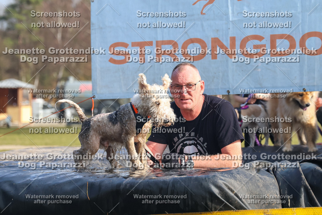 Dog Paparazzi - Strongdog North Mrz26-2087 | Dog Paparazzi Jeanette Grottendiek Fotografie & Videografie - Realisiert mit Pictrs.com