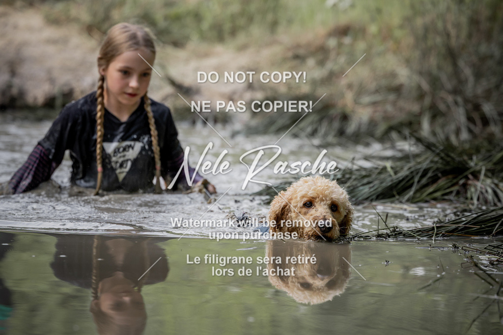 nelerasche_so0800-0930_48 | nelerasche