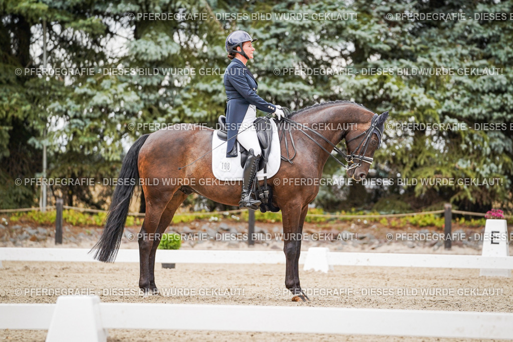 DSC07361 | Pferdegrafie