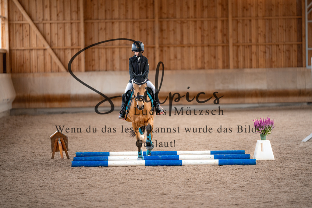 A7V02916 | Pferdefotograf