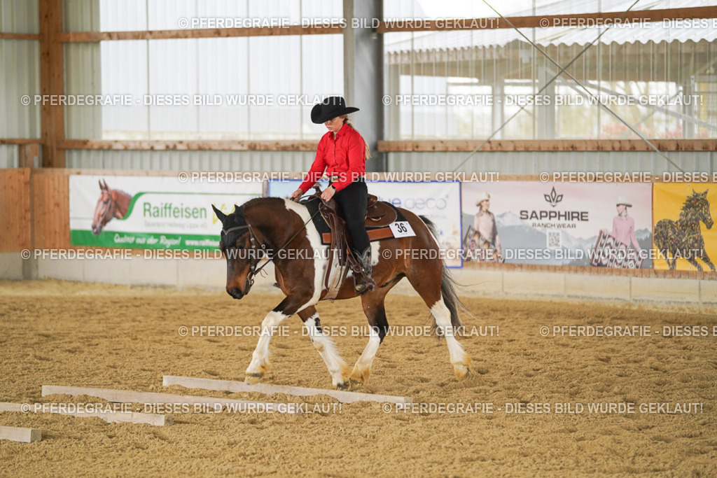 DSC04232 | Pferdegrafie