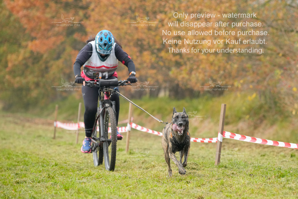 Visbeck_Sa_Bike-313 | stephaniefillaphotographie - Realisiert mit Pictrs.com