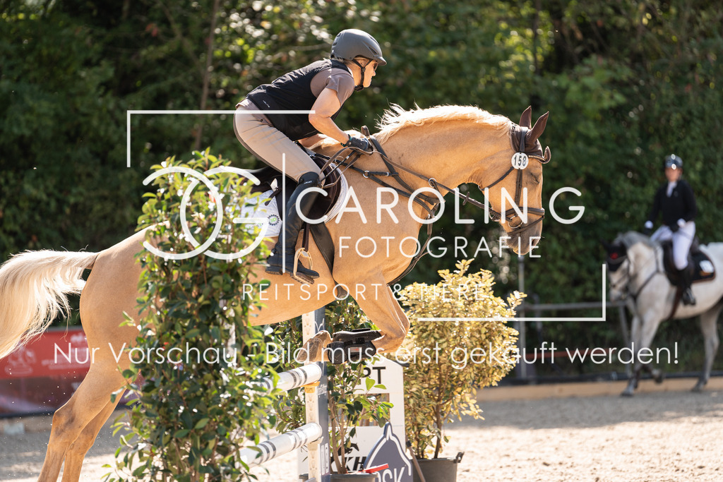 DSC02254 | Carolin Gieschke