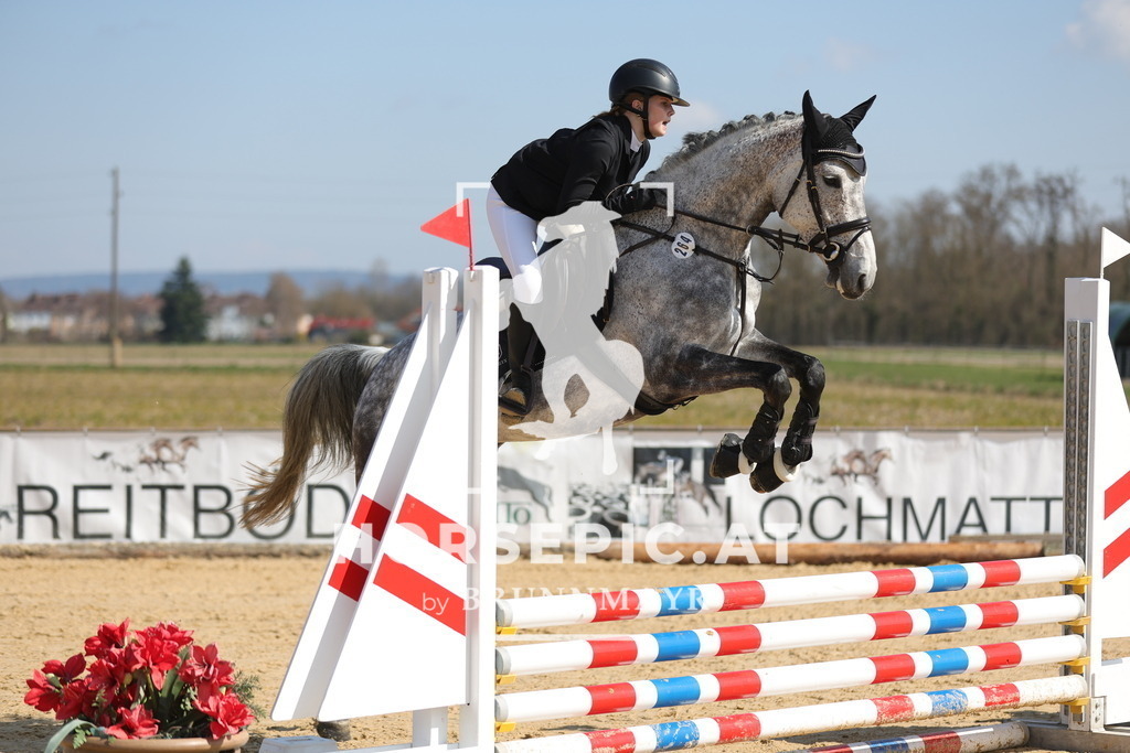 0P6A6844 | Willkommen bei Brunnmayr - Design & Fotografie – Ihrem Spezialisten für Reitturniere und Pferdeveranstaltungen in Oberösterreich, Salzburg und Bayern! Seit über 17 Jahren sind wir leidenschaftlich dabei.