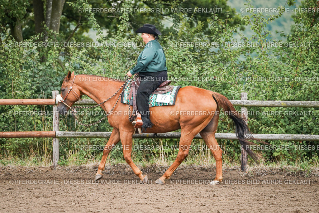 DSC01749 | Pferdegrafie