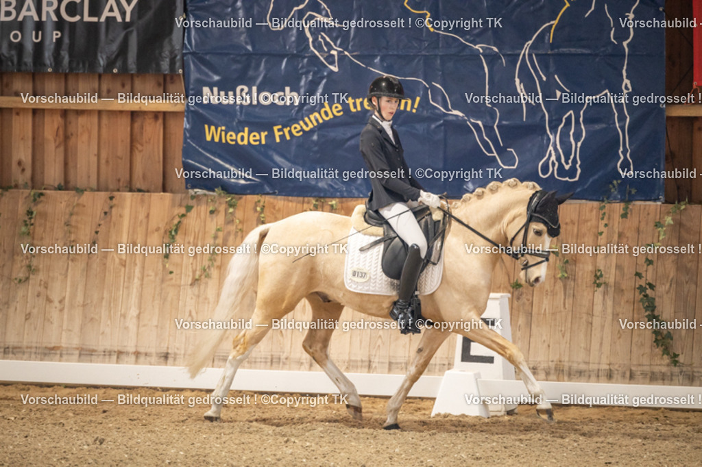 _D5A8467 | Emotionale Pferde- & People-Fotografie rund um Heidelberg, Leimen & Umgebung. Natürliche Fotos von Pferd, Mensch & Familie. Jetzt Termin sichern!