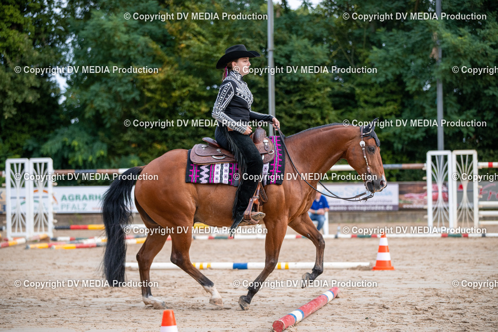 ZS3_4637 | dv-media-shop - Realisiert mit Pictrs.com