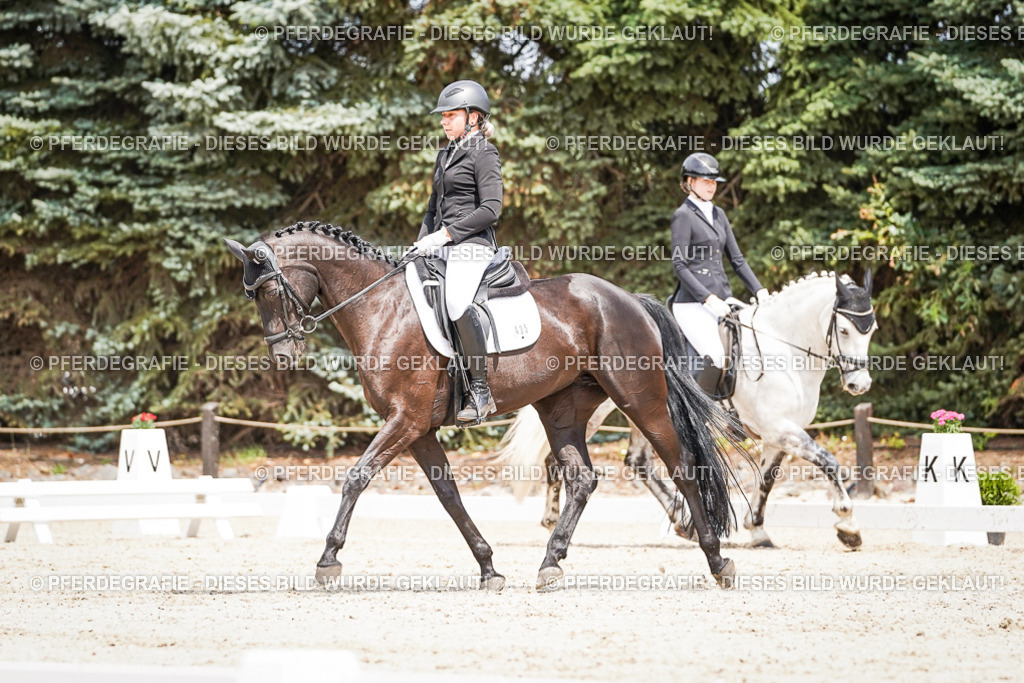 DSC03469 | Pferdegrafie