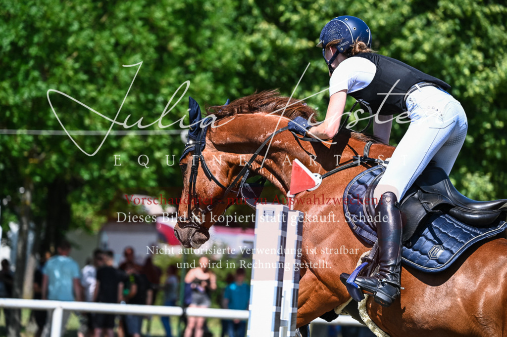 DSC_1190 | Pferde- und Turnierfotografie in Westsachsen. Pferdeportraits, Auftragszeichnungen und intuitive Kunst.